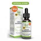 Liquid Chlorophyll Drops (4 Month Supply) Healthcare Supplement - Natural Deodor