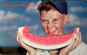 Postcard Ma Look My Ears are Dry Boy Eating Watermelon P1363 - Picture 1 of 2