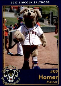 2017 Lincoln Saltdogs Team Issue #28 Homer MASCOT - NM Baseball Card