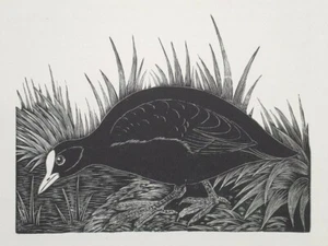 DAGLISH COOT Print of a Woodcut Woodblock Etching C1920s Water Bird - Picture 1 of 1