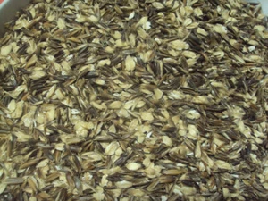 25kg Schwarzhafer gequetscht - Bild 1 von 1