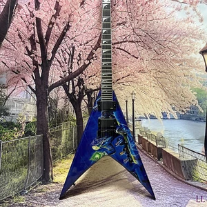 Ultra low price IN STOCK Peter Frampton Signature LP electric guitar US stock - Picture 1 of 12