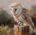 BARN OWL BIRD FINE ART PORTRAIT ORIGINAL PAINTING 12 x 12 inches by JOHN SILVER