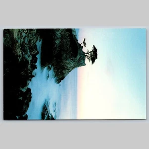 Postcard The Lone Cypress Pebble Beach California Scenic View - Picture 1 of 3