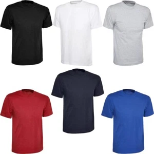Men's Ultra Cotton Long Sleeve T-Shirt Short Sleeve Crew Neck Summer Plain Tops - Picture 1 of 9
