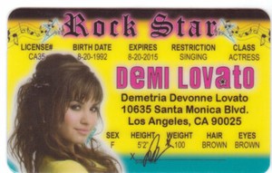 lovato demi id novelty Identification ID Card ID collectors card Los Angeles CA