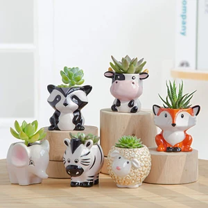 YINUOWEI Cute Succulent Planter, Succulent Pots with Drainage Hole Flower Plant - Picture 1 of 11