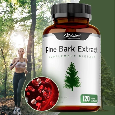 Kiefernrindenextrakt -Antioxidans,Anti-Aging，Herz-Kreislauf- Und Immungesundheit - Bild 1 von 4