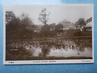 Glasgow Botanic Gardens 1907 Vintage RP Postcard The Rapid Photo