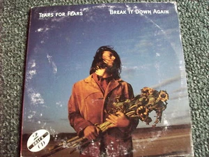 Tears for Fears-Break it down Again-Cardsleeve-France - Bild 1 von 1