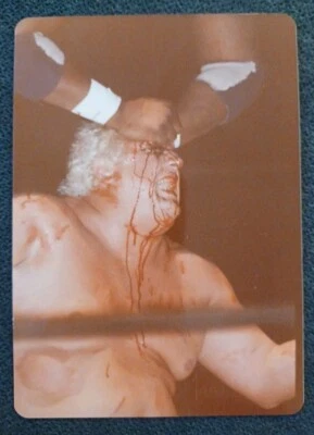 💥1️⃣9️⃣8️⃣2️⃣ Оригинальная винтажная фотография Пыльного Родса 3,5x5 NWA WWF WCW Рестлинг🏅 - Изображение 1 из 2