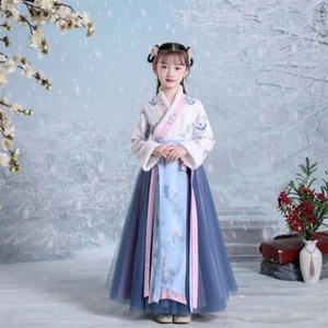 Kid Girl Embroidered Thick Chinese Tang Suit Mesh Swing Dress Fleece Lining - Picture 1 of 15