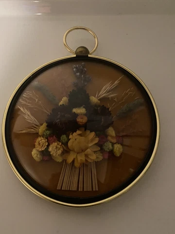Vintage Belgian CideArt Wall Art Dried Flowers under Convex Domed Glass Round Cover