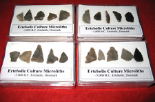 Neolithic Denmark microliths stone age points in display case 5000 BC Ertebolle