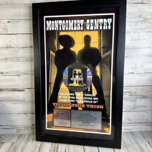 MONTGOMERY GENTRY RIAA zertifiziert gerahmtes Platin Verkaufsalbum You Do Your Thing - Bild 1 von 12