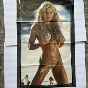 2002 WWE Torrie Wilson & EDGE doppelseitiges 32" x 21" Poster Vintage WWF WCW AEW COPE - Bild 1 von 10