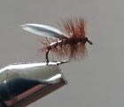 Silver Sedge Trout Dry  Fly - Pack of 3 - Size 12