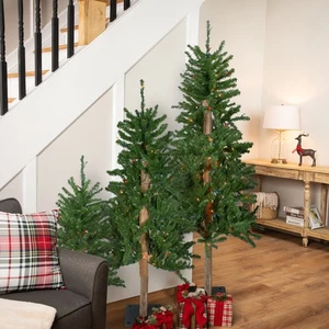 Northlight Set of 3 Alpine Artificial Christmas Trees 3' 4' and 5' Multi Lights - Picture 1 of 7