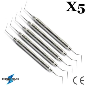 X5 Dental Endo Dg16 Explorer Diagnostic Hollow Handle Double Ended Instruments - Picture 1 of 2