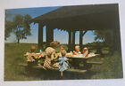 Vintage Postcard ~ Family Picnic Hearts Content Allegheny Forest ~ Pennsylvania