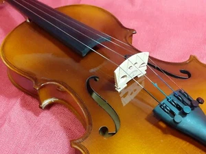 SPS'25 Classic schools Entry Level Violin 3/4 #03 Outfit Glossy superior tones - Picture 1 of 12