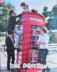 ONE DIRECTION - TAKE ME HOME POSTER - SIZE 16 INCHES WIDE X 19 INCHES HIGH - Picture 1 of 7