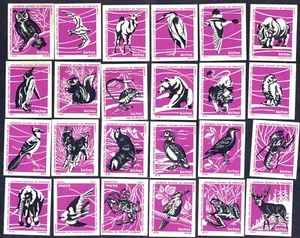 Juego de 24 etiquetas de caja de cerillas de animales del zoológico portugal - Imagen 1 de 1