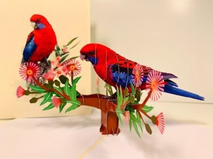Origami Pop Cards Single Crimson Rosella Handmade Love Pop Up Celebration Card