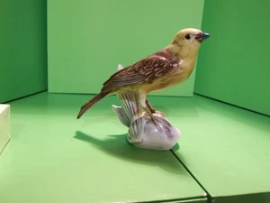 BELLISSIMO UCCELLINO GOEBEL YELLOWHAMMER GLOSS - Foto 1 di 3