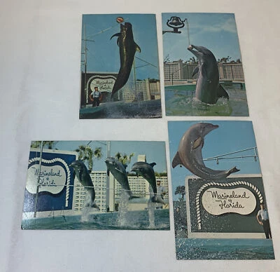 lote de cuatro postales vintage de MARINELAND, FLORIDA Foto 1 de 2