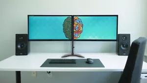 2 x 24" DUAL PC Monitor FULL HD VGA DP DVI- HDMI Dual Stand FULL HD - Picture 1 of 7