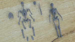 1/35 scale resin 3-D printed skeleton and bone parts. Ready for your diorama. - Picture 1 of 1