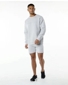 Alphalete ELMTS Long Sleeve Pullover - Oyster Grey , Size Large - Picture 1 of 9