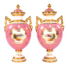 Coalport Porcelain Vases Randalls Exotic Birds Pink h18cm V5146 Circa 1900
