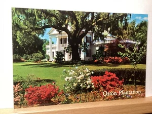 Orton Plantage und Gärten: Wilmington, NC - Vintage Postkarte - Bild 1 von 3