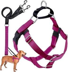 2 Hounds Design Freedom No Pull Harness and Leash Training Kit Raspberry Large - Bild 1 von 7