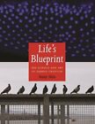 Life's Blueprint: The Science And Art Of Embryo Creation By Benny Shilo: New