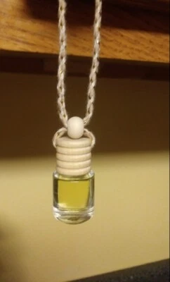 Difusor ambientador colgante automático/coche de larga duración de SOUTHERN LITE CANDLES Foto 1 de 4