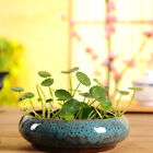  Chinese Decor Round Glazed Planter Ceramic Flowerpot Succulents
