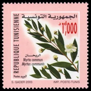 TUNISIA 1327 - Common Myrtle "Myrtus communis" (pb63493) - Picture 1 of 1
