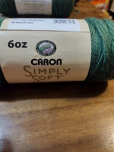 Caron  Simply  Soft    6 oz.    Dark Sage - Picture 1 of 2