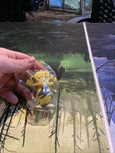 Burger King Meal Toy 1999 Electabuzz - Picture 1 of 4