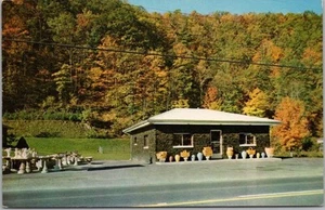 Postal de White Sulphur Springs, Virginia Occidental "CASA DE CARBÓN" minería/construcción - Imagen 1 de 2