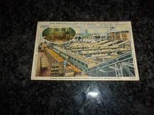 VINTAGE POSTCARD - PACKING HOUSE INTERIOR - WAVERLY GROWERS - FLORIDA - Picture 1 of 4