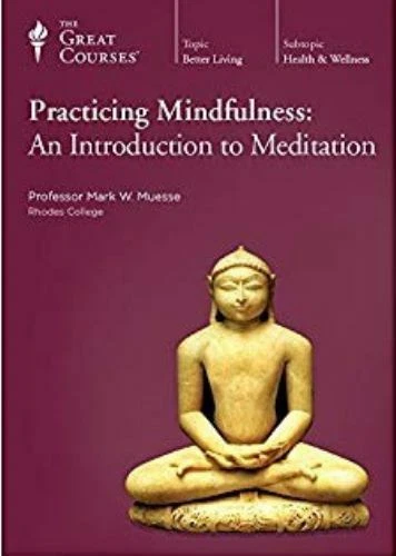 Practicing Mindfulness : An Introduction to Meditation by Mark W. Muesse (2011, DVD)