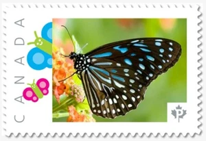 uq. BUTTERFLY = Insects = Picture Postage MNH-VF Canada 2019 [p19-01s23] - Picture 1 of 2