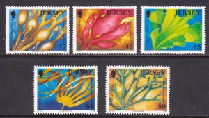 JERSEY - 2009 SEAWEED - 5V - MINT NH - Picture 1 of 4