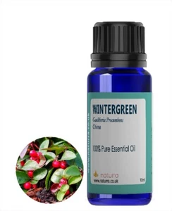 Wintergreen 100% Pure Essential Oil 5ml 10ml - Picture 1 of 2