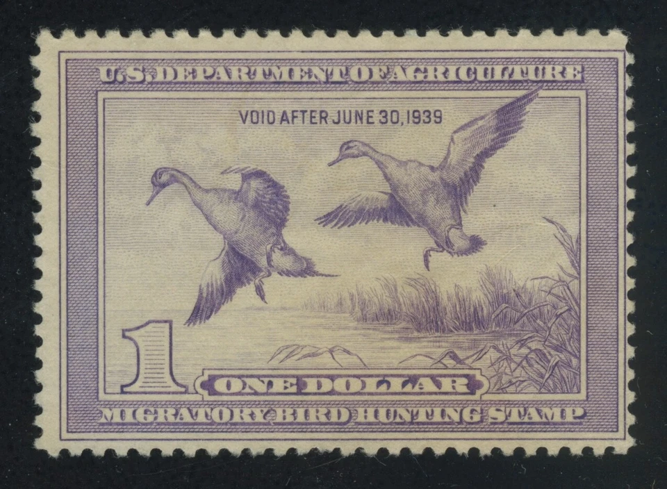 US, RW5 Hunting Permit Duck Stamp - single Unused NG - Image 1 of 1