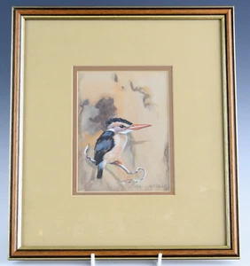 Original Bird Painting by C E Talbot Kelly - Ornithological (1985) Kingfisher? - Picture 1 of 4